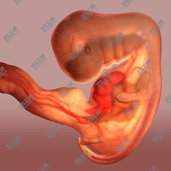 images/goods_img/202105072/Baby Fetus 5 Weeks/2.jpg